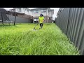 Lawn Mowing and Social Media Engagement