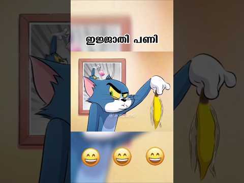 ടോമും ജെറിയും ചിരിപ്പിച് കൊല്ലും.. #cinimalokam #malayalammovieexplain #shortsmalayalam