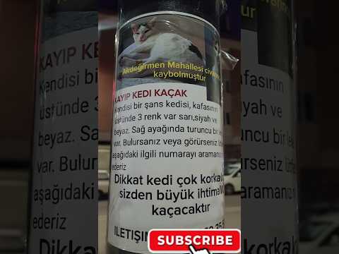 Yine Bir Kedi Kaybolmuş #shortsvideo #shors #funny