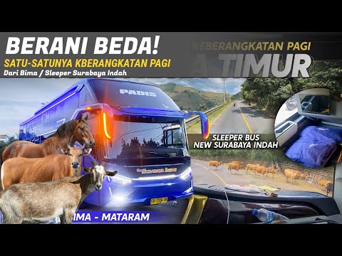 BERANI BEDA‼️Sleeper Surabaya Indah Keberangkatan Pagi Bima - Mataram Ringkas