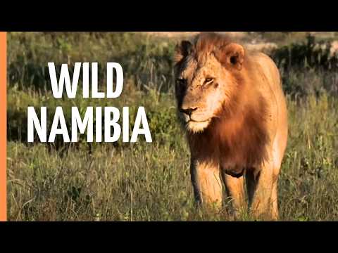 Africa's Last Secret Paradise: Namibia's Untouched Wilderness | Full Documentary
