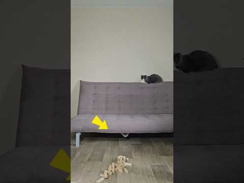 монтаж видео на телефоне
