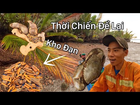 Gặp Kho Đạn Thời Chiến Để Lại Và Những Con Cua Ẩn Mình Trong Rừng