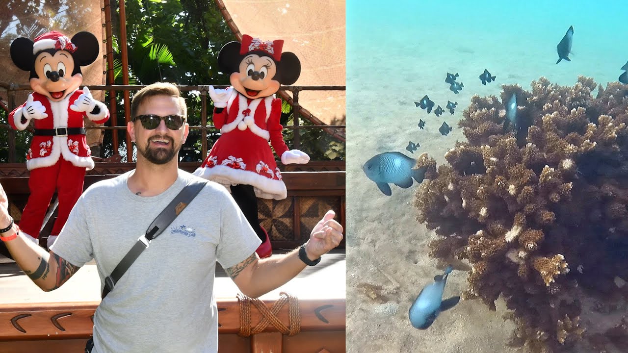 We Went Snorkeling In Hawaii At Disney's Aulani Resort! Meeting Characters & Ukulele Lesson! The Tim Tracker