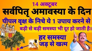 पितृ पक्ष मे पीपल वृक्ष के निचे चुपचाप रखें ये एक चीज दरिद्रता दूर हो जायेगी।