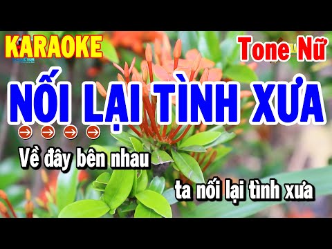 Karaoke Nối Lại Tình Xưa Tone Nữ Nhạc Sống Cha Cha Hay 2024 | Karaoke Thanh Hải