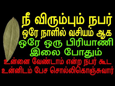 நீ விரும்பும் நபர் ஒரே நாளில் வசியம் ஆக ஒரே ஒரு பிரியாணி இலை போதும் | Moyoko Vlogs | Mani