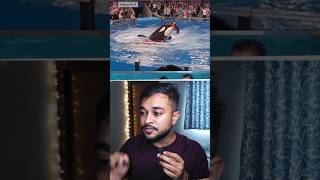 Jessica & Orca Fake Incident... #youtubeshorts
