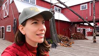 ICY STRAIT POINT: Alaska's Newest Cruise Port! 🧊🚠 Things to Do: Sky Peak Gondola, Cannery and Hike 🦅