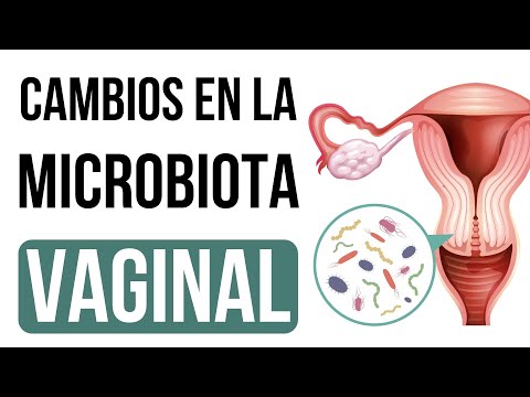 Microbiota Vaginal 🦠: Conceptos Básicos (Dra. Isabel Rosas)