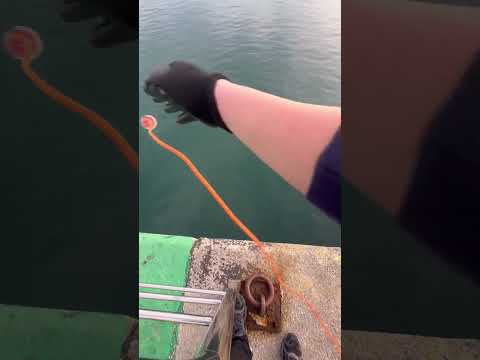 Pesca con imán de neodimio - Magnet fishing 🎣🧲 ¿Fake?
