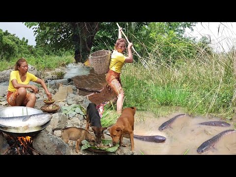 Survival in the rainforest, Skills catch fish in the flooded forest, Cooking fish for survival food