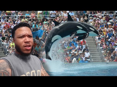 DONT go to SEA WORLD before watching this…