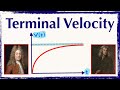Velocity and Forces in Falling Objects