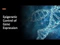 Epigenetics and Histone Modifications