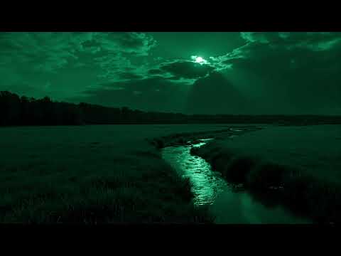 ＡＬＯＮＥ　ＢＥＮＥＡＴＨ　ＴＨＥ　ＱＵＩＥＴ　ＭＯＯＮＬＩＧＨＴ .