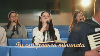 Tu esti floarea minunata - Cantari vechi cu Gabriel Gorcea si Prietenii LIVE -  2025