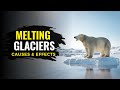 Impact of Glacier Melting