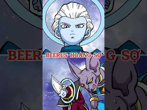Bạn có biết Beerus đã suýt bị xóa sổ chỉ vì một quyết định của...