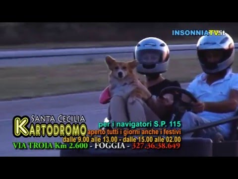 kartodromo s cecilia