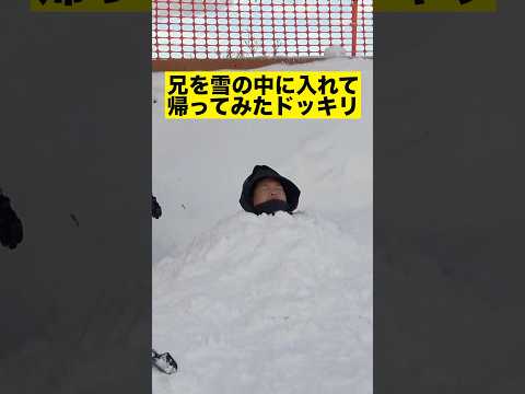 兄を雪の中に入れて帰ってみた#shorts