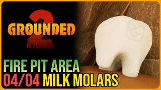 All Fire Pit Milk Molar Locations – Grounded 2