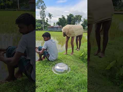 The cow came in front and then went back.3