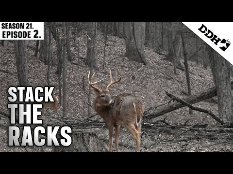 Stack the Racks | Deer & Deer Hunting TV