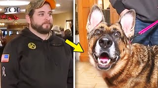 Un Chien De L’armée Ne Reconnait Pas Son Maître – Il Est Choqué Lorsqu’elle Fait CECI !