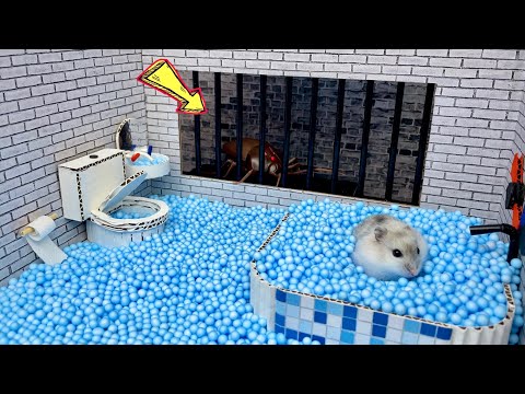 🐹Hamster Escapes the Awesome 5-Star Luxury Cockroach Maze with Bathtub🐹 for Pets in real Life