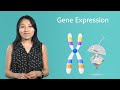 Genetics Concepts and Terminology