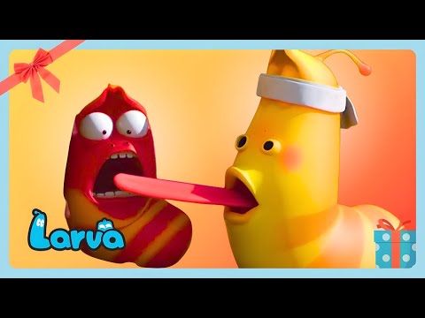 🤣 TAGGA! 💥 | COMPILAZIONE DEI MOMENTI PIÙ DIVERTENTI DELLA LARVA | WildBrain Italiano