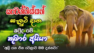කාවන්තිස්ස ඇතා පාර මාරු කරන කුමාර අයියා | Kumara Aiya & Tusker Kawanthissa