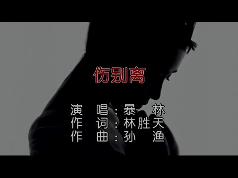 伤别离-暴林-伴奏 KARAOKE