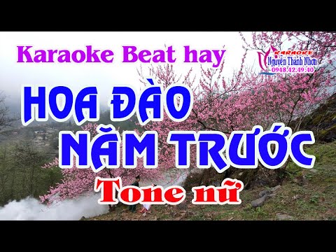 Karaoke HOA ĐÀO NĂM TRƯỚC – TONE NỮ [Beat hay]