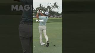 Cameron Young = Pure Magic #golf