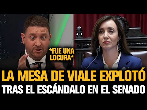 LA MESA DE VIALE EXPLOTÓ TRAS EL ESCÁNDALO CON VILLARRUEL EN EL SENADO