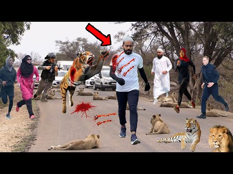 শিহাব কে হঠাৎ বাঘে আক্রমন তারপর কি হলো সরাসরি নিজের চোখেই দেখুন আল্লাহর কুদরত shihab with tiger p6