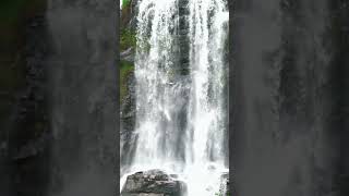 DJI MiNi 4 #music #folksong #nature #lifeisbutadream #asiancountry #travel #whowillbemylifepartnert