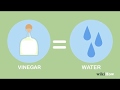 Vinegar as a Cleaning Agent