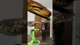 Animal funny video Anaconda snake python movie in real life bhoot wala #bhojpuri #vfx #shorts 2026