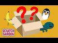 Items Found in the Box