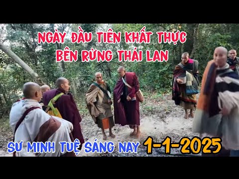 Sư minh tuệ sáng nay 1-1 -2025 lần đầu thầy đi khất thực bên rừng thái Lan xem rớt nước mắt