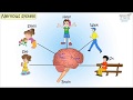 Nervous System Concepts and Functions