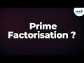 Understanding Prime Factorization Concepts