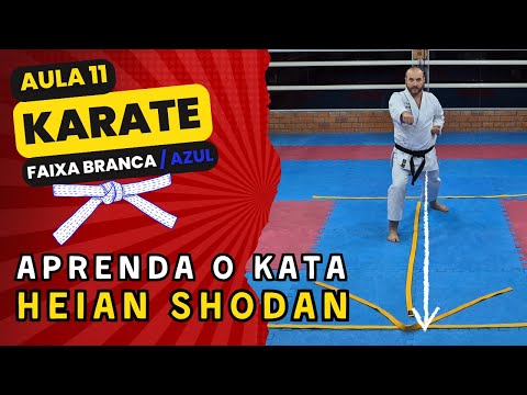 11 AULA DE KARATE - FAIXA BRANCA/AZUL - Aprenda de vez o Kata HEIAN SHODAN