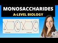 Biological Molecules and Carbohydrates