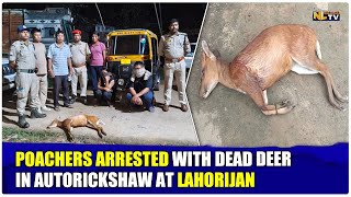 POACHERS ARRESTED WITH DEAD DEER IN AUTORICKSHAW AT LAHORIJAN
