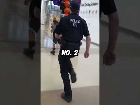 3 HILARIOUS School Moments!