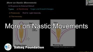 More on Nastic Movements